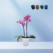 Sharon Ribbed Flower Pot - Greensouq - 