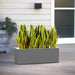 Snake Planter