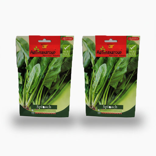 Agrimax Spinach Seeds - Greensouq -