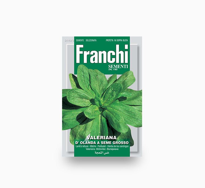 Spinach D'Olanda - Sementi Seeds - Greensouq - 