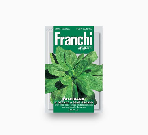 Spinach D'Olanda - Sementi Seeds - Greensouq - 