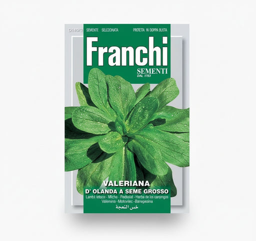 Spinach D'Olanda - Sementi Seeds - Greensouq - 