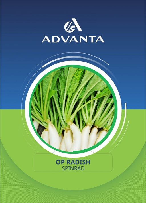 Spinrad OP Radish Seeds 5g - Greensouq - 