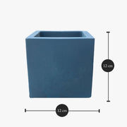 Square Orchid Pot "Small" - Greensouq - 