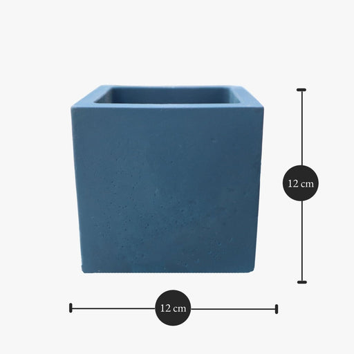 Square Orchid Pot "Small" - Greensouq - 