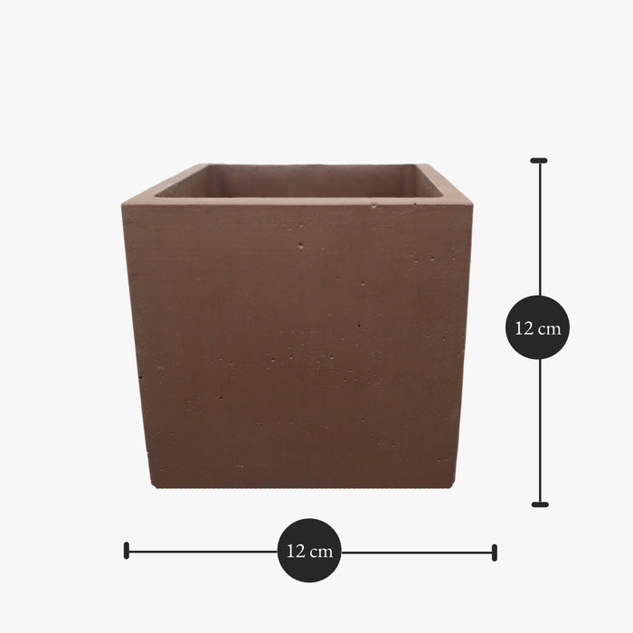 Square Orchid Pot "Small" - Greensouq - 