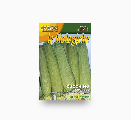 Squash Genovese - Franchi Seeds - Greensouq - 