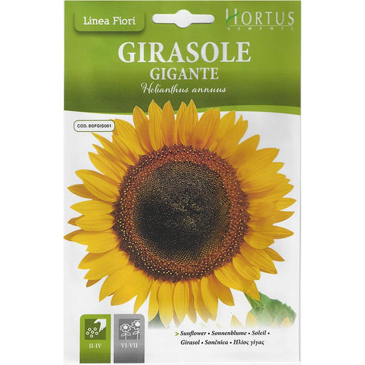 Sunflower "Girasole Gigante" Premium Quality Seeds by Hortus - Greensouq - 