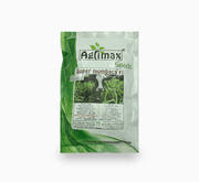 Super Mombaca F1 200K Premium Quality Seeds - Greensouq - 