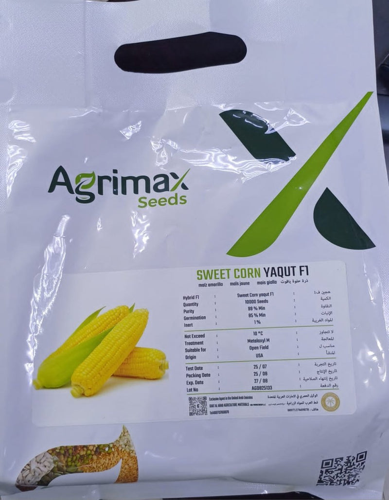 Sweet Corn Yaqut F1 10000 seeds pack hybrid - Greensouq - 