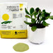 Tradecorp AZ Chelated Micronutrient - Greensouq - 