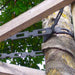 Tree Support Plastic Chain Lock | Treemaster Chainlock - Greensouq - 