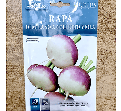 Turnip Vegetable Seeds "Rapa Di Milano A Colletto Viola" by Hortus - Greensouq - 