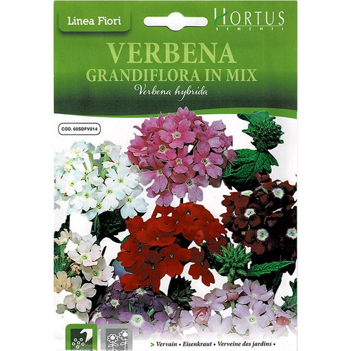 Vervain Mix "Verbena Grandiflora In Mix" Premium Quality Seeds by Hortus - Greensouq - 