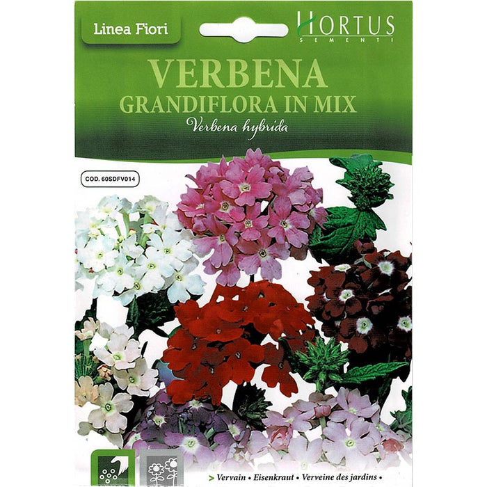 Vervain Mix "Verbena Grandiflora In Mix" Premium Quality Seeds by Hortus - Greensouq - 