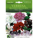 Vervain Mix "Verbena Grandiflora In Mix" Premium Quality Seeds by Hortus - Greensouq - 