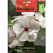Vinca Bright Eyes Flower Seeds by Agrimax Spain - Greensouq - 
