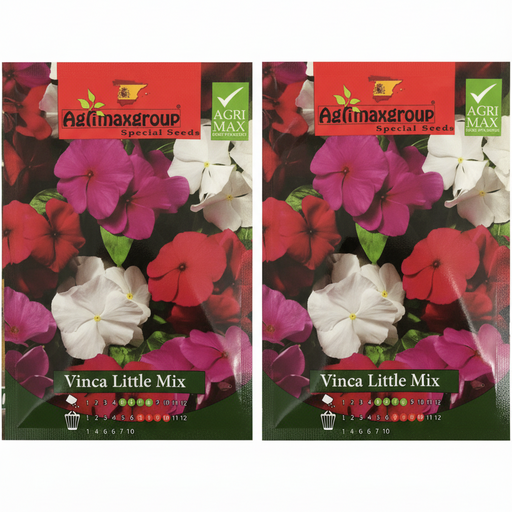 Vinca Little Mix Flower Seeds by Agrimax Spain - Greensouq - 