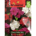 Vinca Little Mix Flower Seeds by Agrimax Spain - Greensouq - 