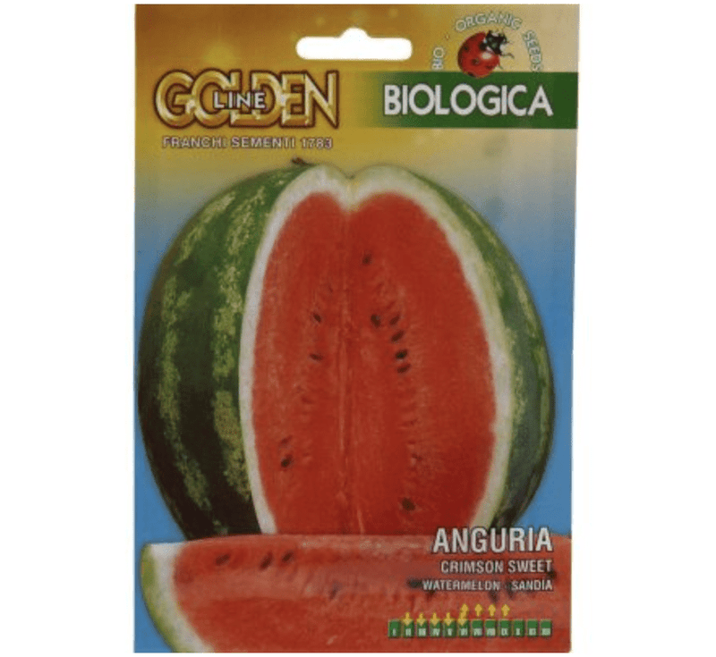 Watermelon "Anguria Crimson Sweet" Organic Seeds by Franchi - Greensouq - 