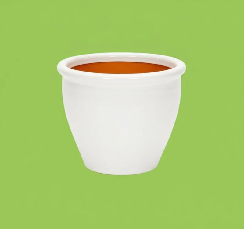 White Rolled Rim Pot - Greensouq - 