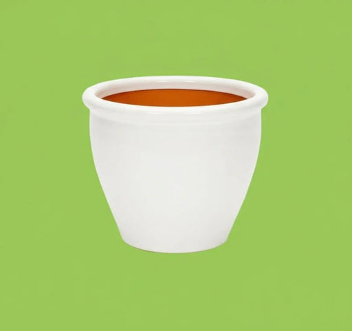 White Rolled Rim Pot - Greensouq - 