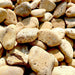 Yellow Forest River Stone "Natural Garden Material" - Greensouq - 
