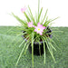 Zephyranthes Grandiflora | Pink Rain Lily | Zephyr lily 6Ltr pot - Greensouq - 