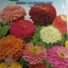 Zinnia California Mix Seeds by CANESTRO - Greensouq - 