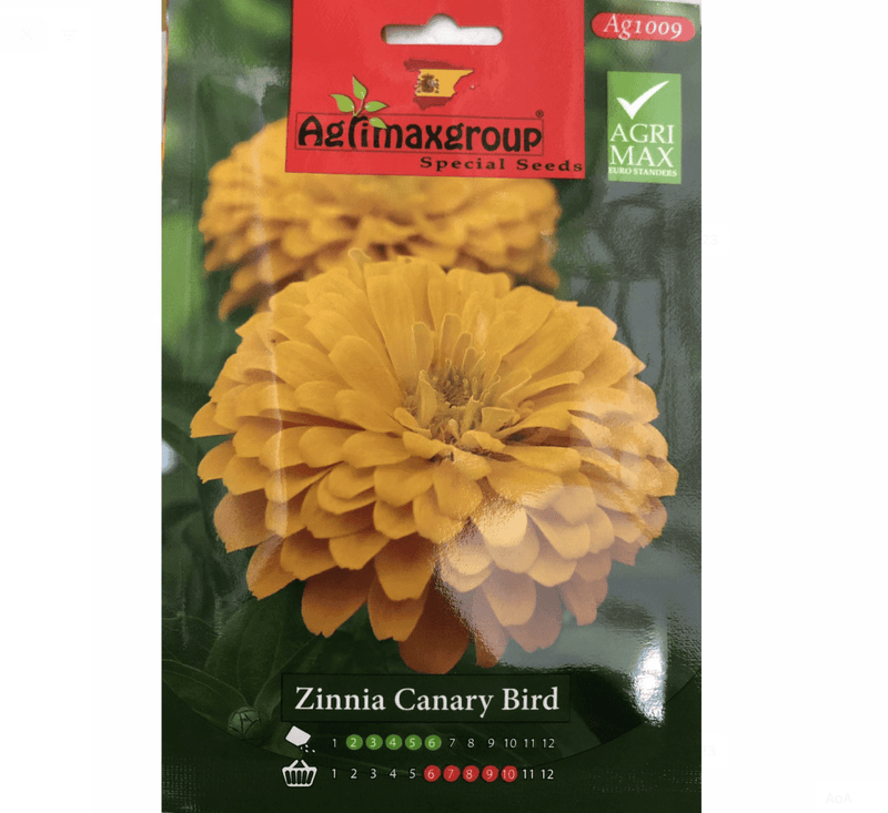 Zinnia Canary Bird Flower Seeds by Agrimax Spain - Greensouq - 