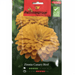 Zinnia Canary Bird Flower Seeds by Agrimax Spain - Greensouq - 