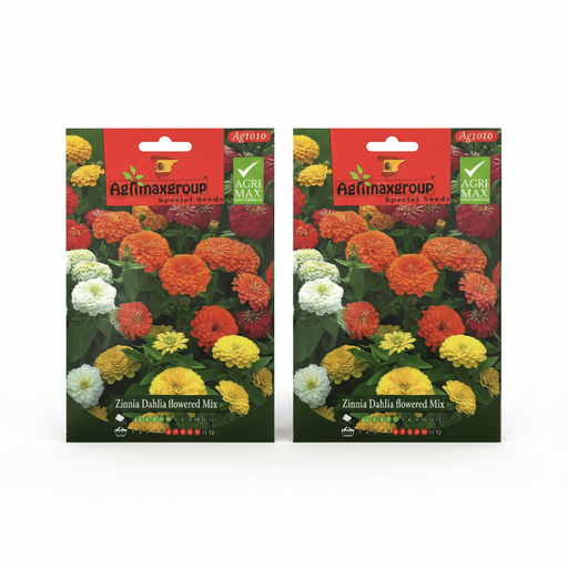 Zinnia Dahlia Mix Flower Seeds by Agrimax Spain - Greensouq - 