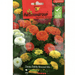 Zinnia Dahlia Mix Flower Seeds by Agrimax Spain - Greensouq - 
