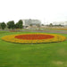Zinnia Flowers or "Zinnia" - Greensouq - 