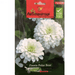 Zinnia Polar Bear Flower Seeds by Agrimax Spain - Greensouq - 