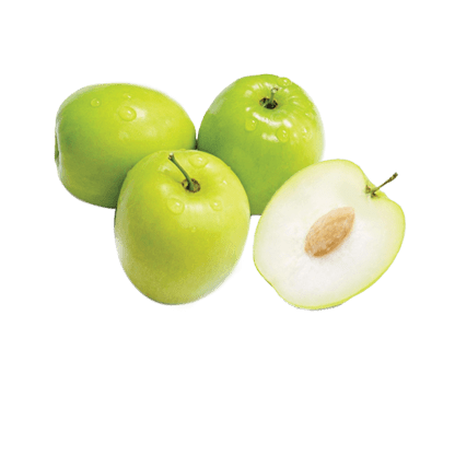 Ziziphus Jujuba Thai Or Jujube Tree 1.5 - 2.0m شجرة عناب - Greensouq - 