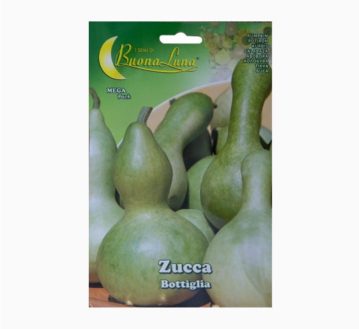 Zucca Bottiglia Mega Pack - Greensouq - 