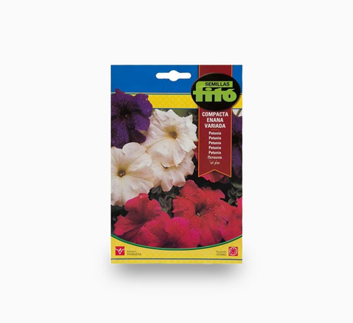 Dwarf Petunia Compact Mix Flower – Fito Seeds