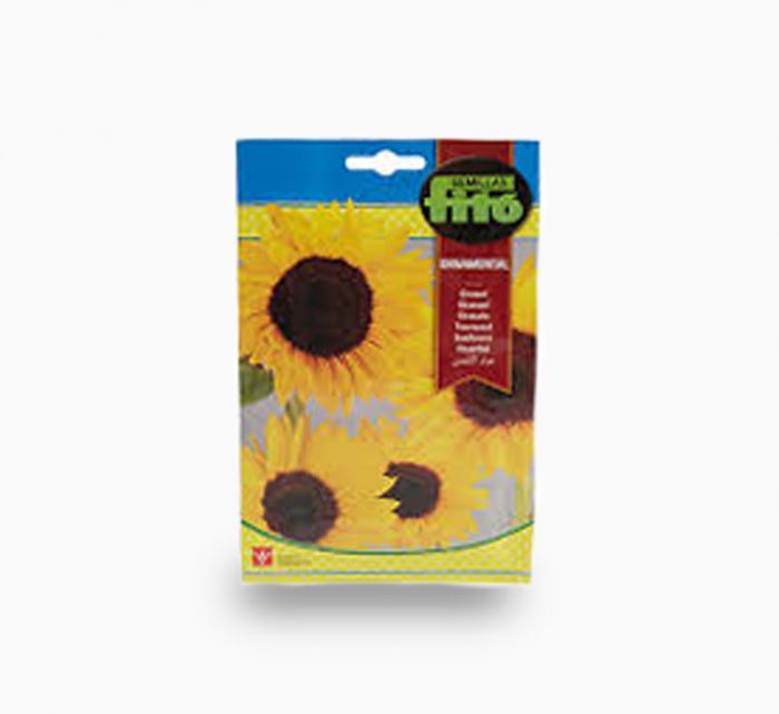 Sunflower Seeds 110mg – Fito