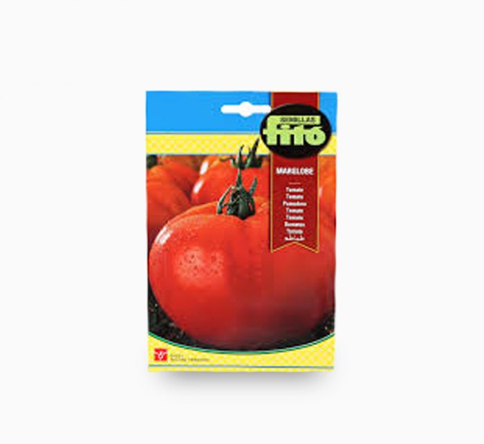 Tomato Marglobe 3g – Fito