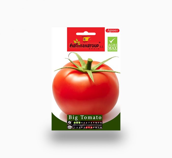 Big Tomato agrimax seeds