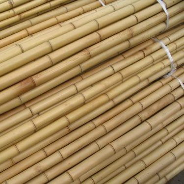 Bamboo Stick Per Piece 15 30mm Dia Order Online In UAE Green Souq UAE   Bamboo Stick E1590739140522 