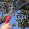Curved Pruning Saw with Scabbard 13″