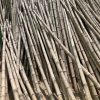 bamboo pole or thick sticks green souq