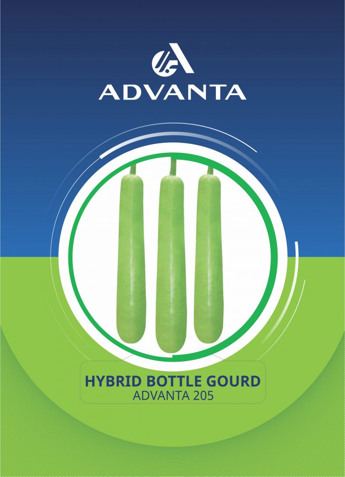 Advanta 205 Hybrid Bottle Gourd