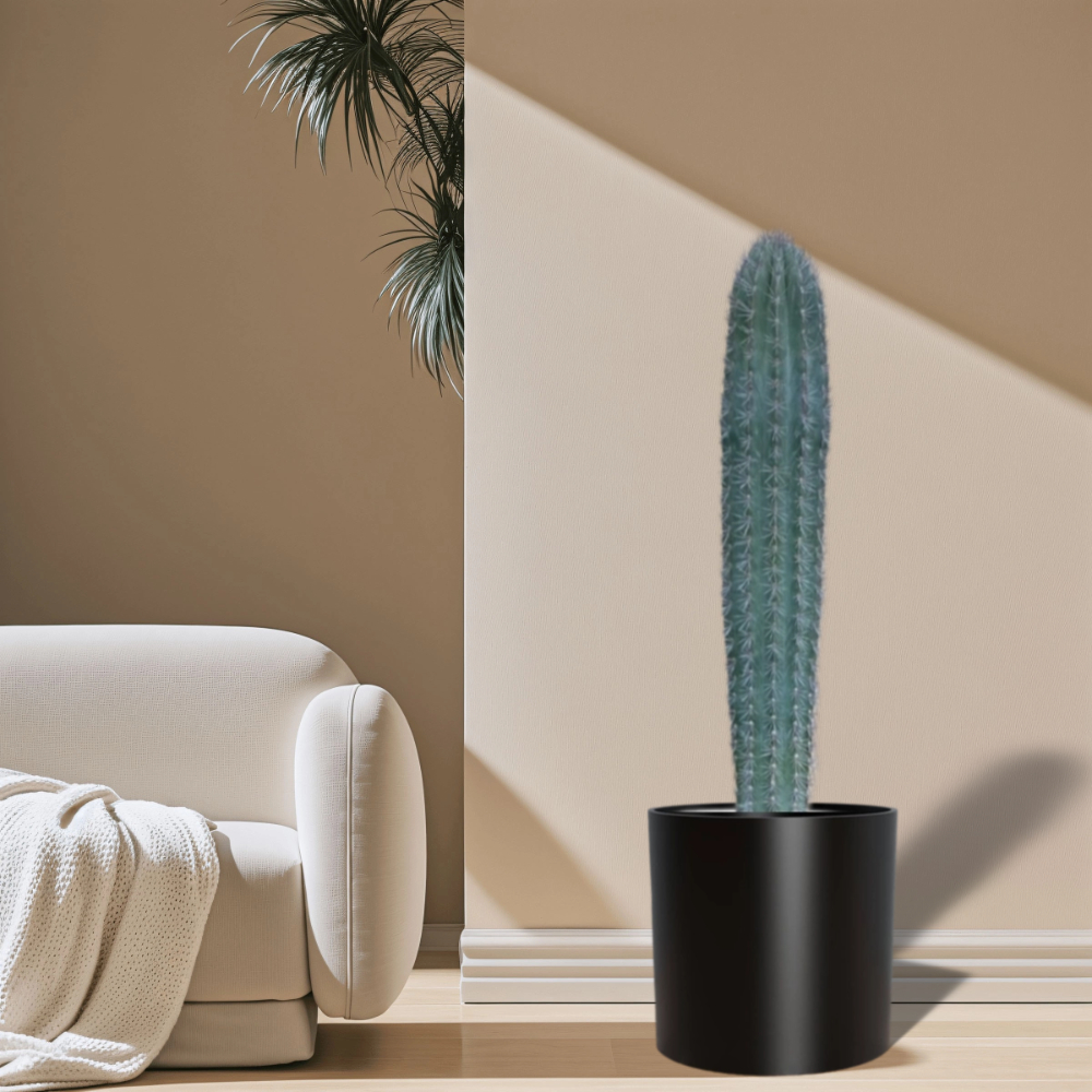 Saguaro cactus