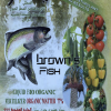 Brown Fish Hydrolysate Bio Fertilizer 77% Organic Matter Green Souq
