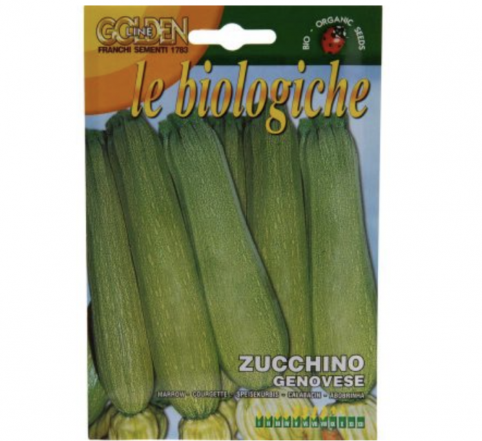 Marrow "Zucchino Genovese" Organic Seeds by Franchi Green Souq