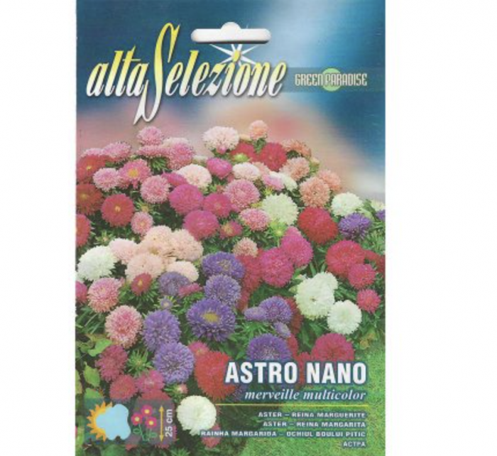 Aster Nano Multicolor Premium Quality Seeds by Alta Selezione green Souq