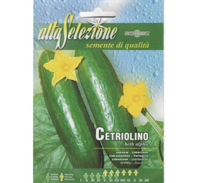 Cucumber "Gherkin Cetriolino Beth Alpha" Premium Quality Seeds by Alta Selezione Green Souq